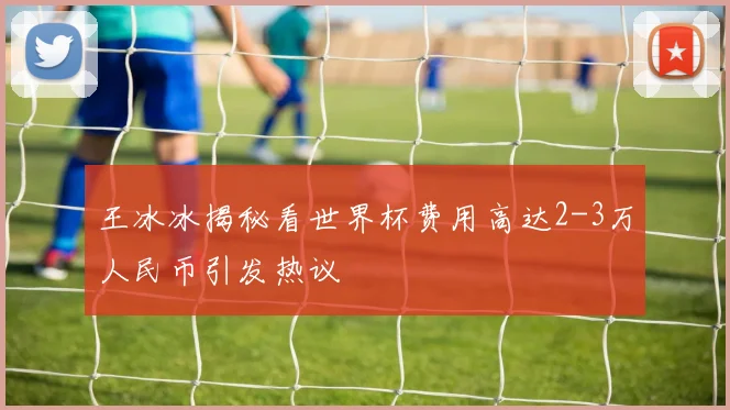 王冰冰揭秘看世界杯费用高达2-3万人民币引发热议